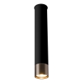 Amplex - Spotlampe 1xGU10/10W/230V sort/guld