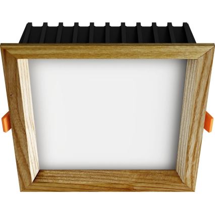 APLED - LED indbygningslampe SQUARE WOODLINE LED/12W/230V 3000K 17x17 cm aske massivt træ