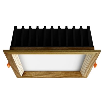 APLED - LED indbygningslampe SQUARE WOODLINE LED/12W/230V 3000K 17x17 cm aske massivt træ