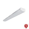 APLED - LED Loftlampe TROUT LED/72W/230V 4000K