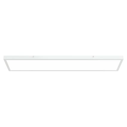 APLED - LED panel LONG LED/40W/230V 4000K 120x30cm IP41 overflademonteret hvid