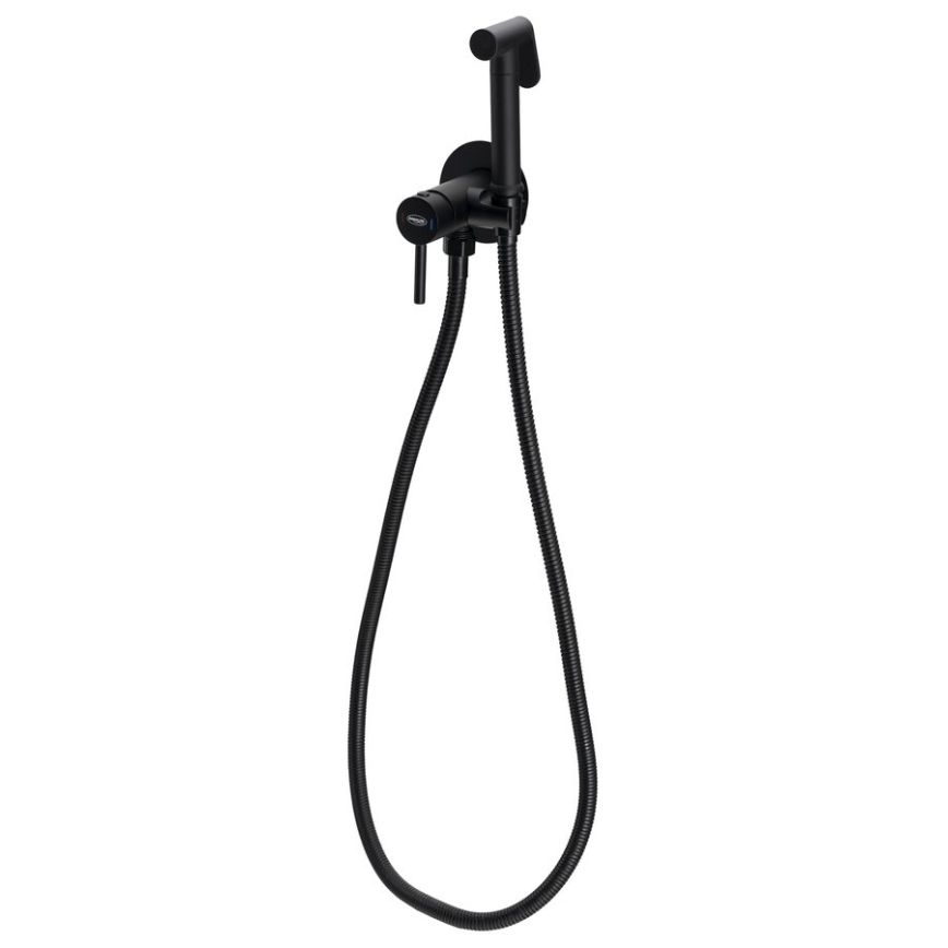 Aqualine - Bidethane med bruser til skjult installation mat sort