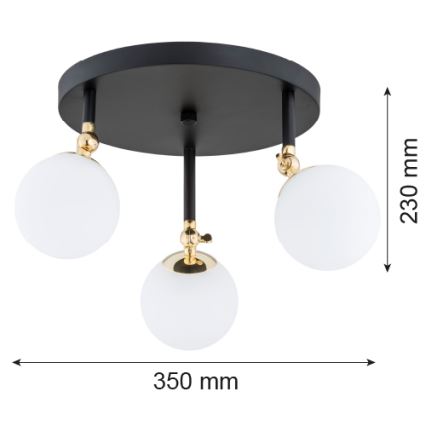 Argon 1436 - Loftlampe til badeværelse LATINA 3xE14/40W/230V IP44