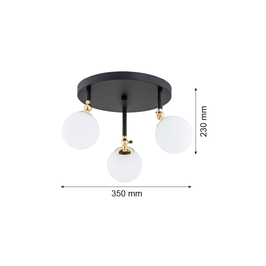 Argon 1436 - Loftlampe til badeværelse LATINA 3xE14/40W/230V IP44