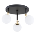 Argon 1436 - Overflademonteret badeværelsesloftlampe LATINA 3xE14/40W/230V IP44