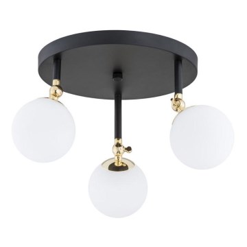 Argon 1436 - Overflademonteret badeværelsesloftlampe LATINA 3xE14/40W/230V IP44