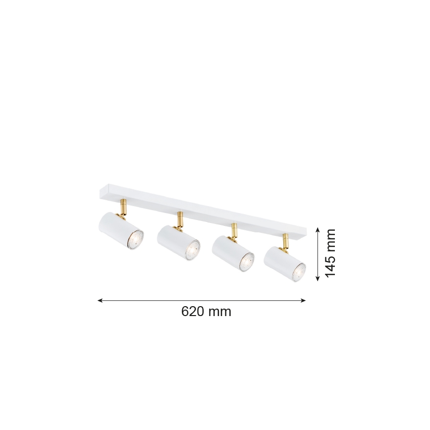 Argon 1689 - Spotlampe LAGOS 4xGU10/5W/230V hvid/gylden