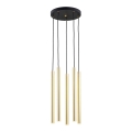 Argon 2109 - LED pendel SICILIA 5xLED/4,5W/230V