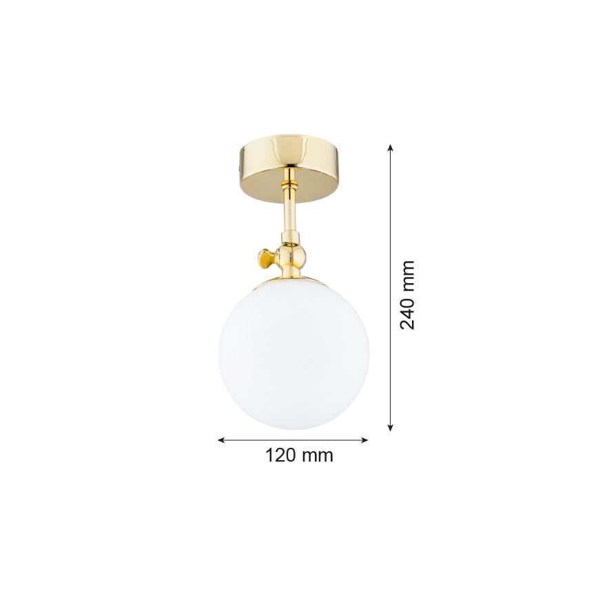 Argon 4001 - Loftlampe til badeværelse LATINA 1xE14/40W/230V IP44
