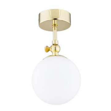 Argon 4001 - Overflademonteret badeværelsesloftlampe LATINA 1xE14/40W/230V IP44