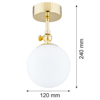 Argon 4001 - Overflademonteret badeværelsesloftlampe LATINA 1xE14/40W/230V IP44