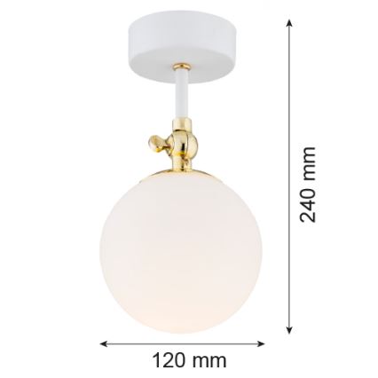 Argon 4002 - Loftlampe til badeværelse LATINA 1xE14/7W/230V IP44 hvid/gylden