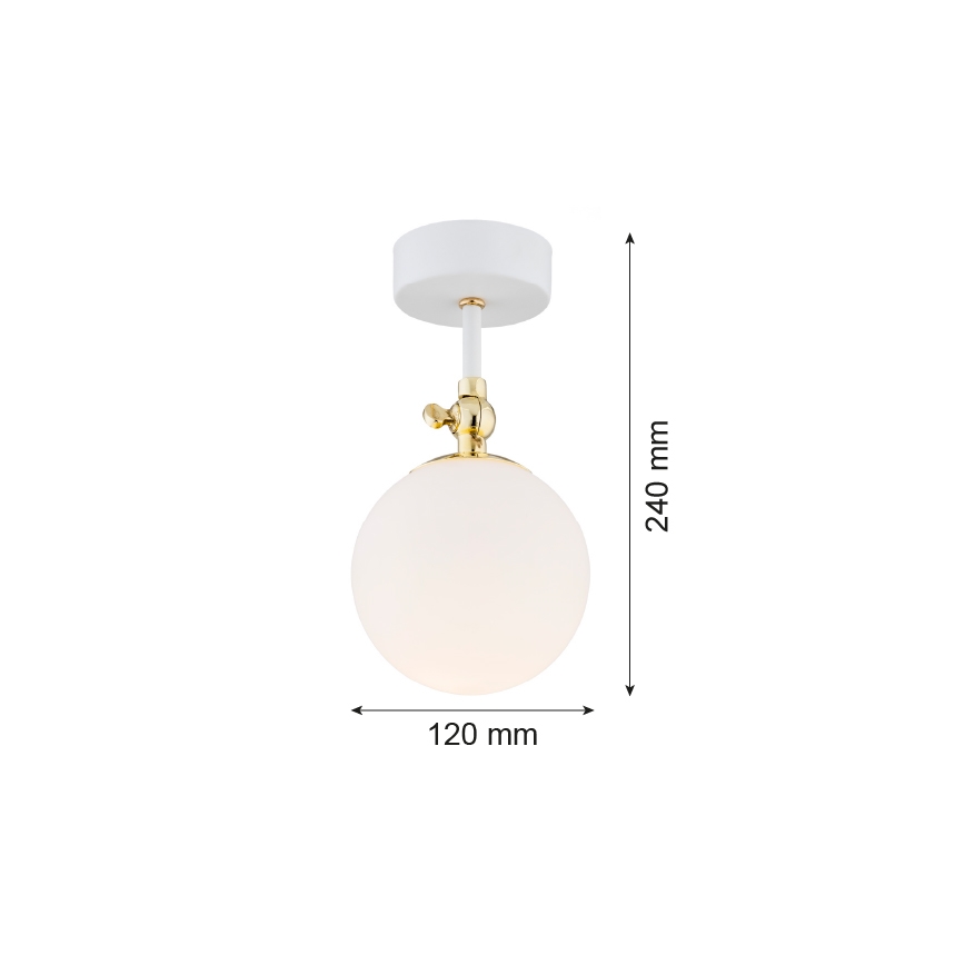 Argon 4002 - Loftlampe til badeværelse LATINA 1xE14/7W/230V IP44 hvid/gylden