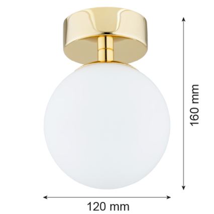 Argon 4004 - Loftlampe FLAVIO 1xE14/7W/230V