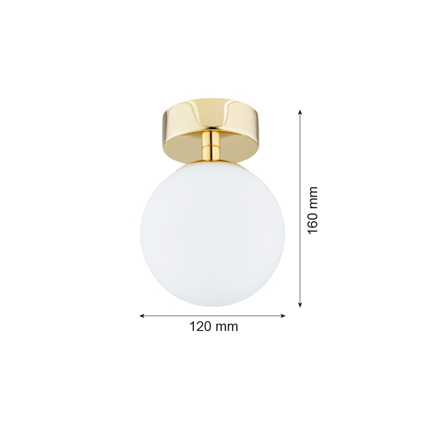 Argon 4004 - Loftlampe FLAVIO 1xE14/7W/230V