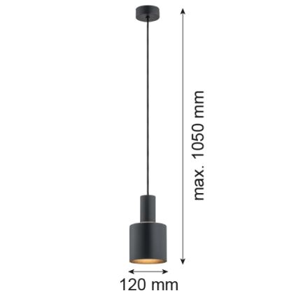 Argon 4219 - Pendel SINES 1xE27/15W/230V diam. 12 cm sort