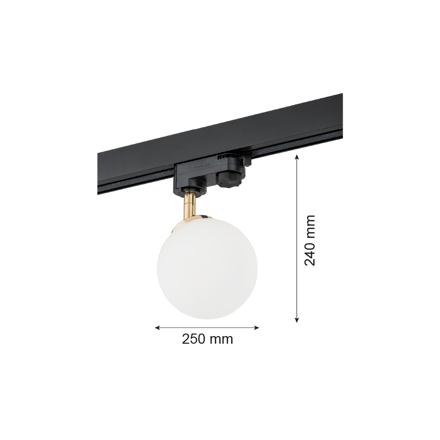 Argon 4307 - Spotlampe til skinnesystem BANG 1xG9/6W/230V messing