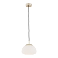 Argon 4352 - Loftlampe på wire TRINI 1xE27/15W/230V Ø 20 cm guld