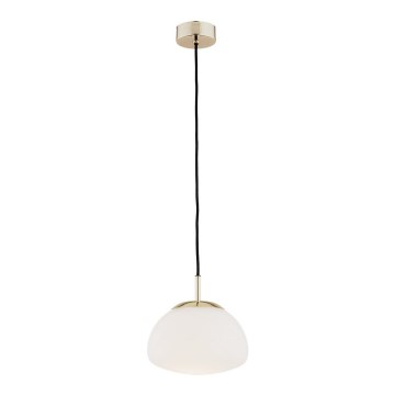 Argon 4352 - Loftlampe på wire TRINI 1xE27/15W/230V Ø 20 cm guld