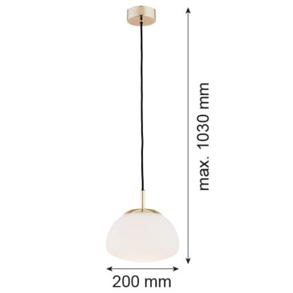 Argon 4352 - Loftlampe på wire TRINI 1xE27/15W/230V Ø 20 cm guld