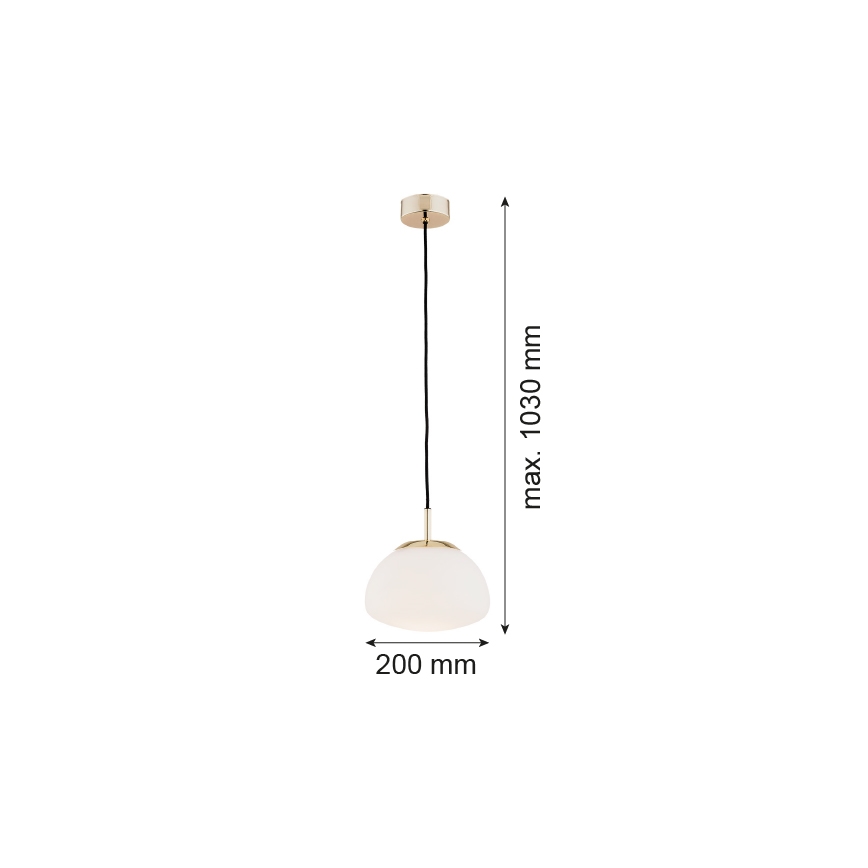 Argon 4352 - Loftlampe på wire TRINI 1xE27/15W/230V Ø 20 cm guld