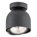 Argon 4711 BZ - Spotlampe GARLAND 1xGU10-AR111/12W/230V sort