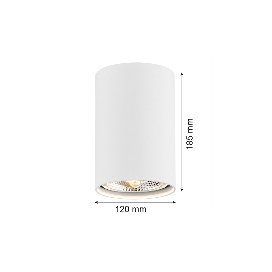 Argon 4910 - Spotlampe TUBO AR111 1xGU10/15W/230V hvid