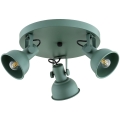 Argon 6265 - Spotlampe LENORA 3xE14/7W/230V grøn