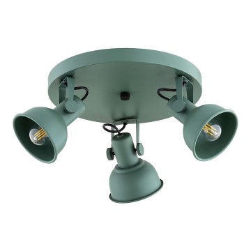Argon 6265 - Spotlampe LENORA 3xE14/7W/230V grøn