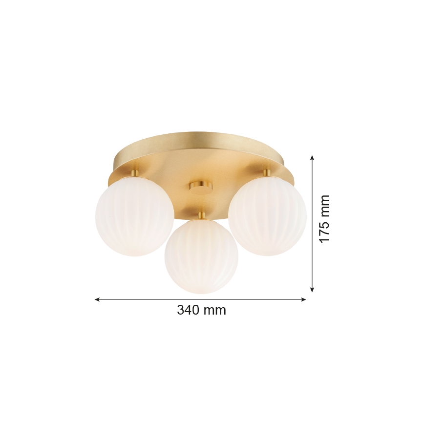 Argon 6305 - Loftlampe PALOMA 3xE14/7W/230V guldfarvet/hvid