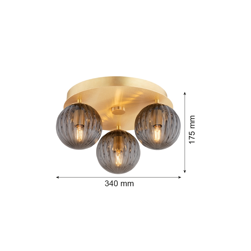 Argon 6308 - Loftlampe PALOMA 3xE14/7W/230V guldfarvet/sort