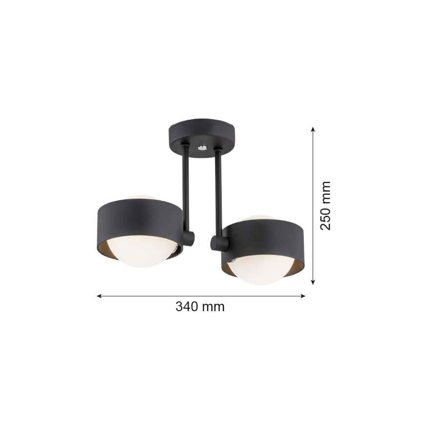 Argon 7089 - Loftlampe MASSIMO PLUS 2xG9/6W/230V sort