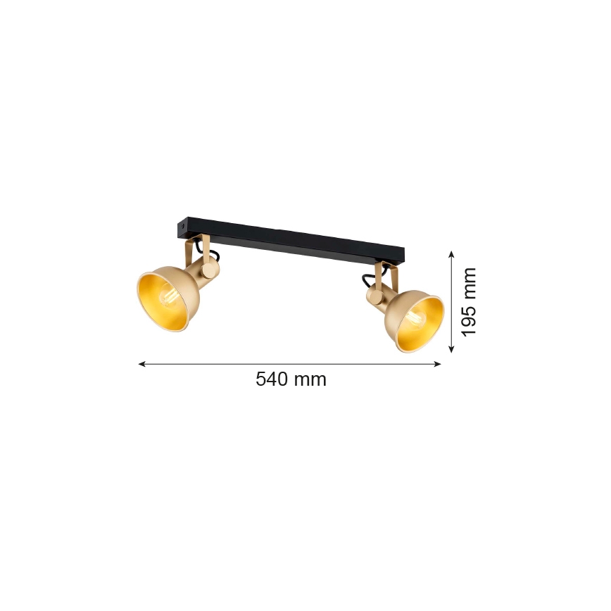 Argon 7144 - Spotlampe LENORA 2xE14/7W/230V guldfarvet/sort