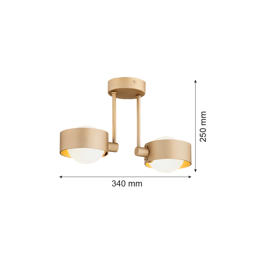 Argon 7215 - Pendel til badeværelse MASSIMO PLUS 2xG9/6W/230V IP44 guldfarvet