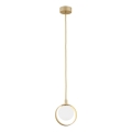 Argon 8257 - SATURNIA pendel på wire 1xG9/6W/230V, guld
