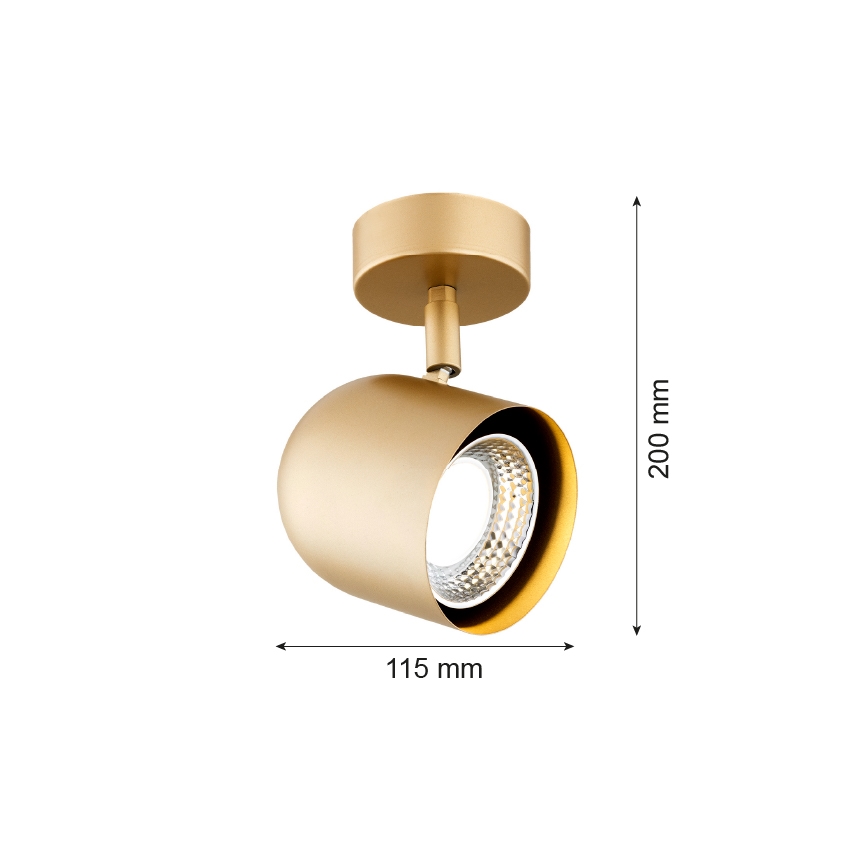 Argon 8260 - Spotlampe ISOLA 1xGU10/5W/230V