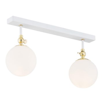 Argon 845 - Overflademonteret loftlampe til badeværelset LATINA 2xE14/40W/230V IP44