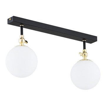 Argon 846 - Overflademonteret badeværelsesloftlampe LATINA 2xE14/40W/230V IP44