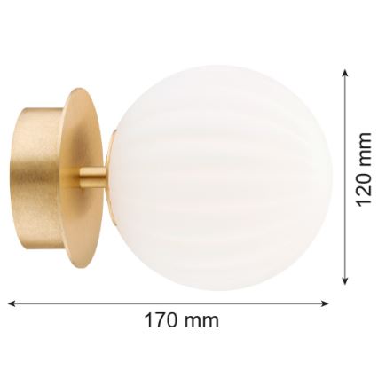Argon 8504 - Væglampe PALOMA 1xE14/7W/230V guldfarvet/hvid