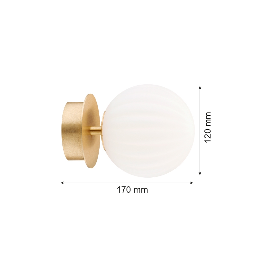 Argon 8504 - Væglampe PALOMA 1xE14/7W/230V guldfarvet/hvid
