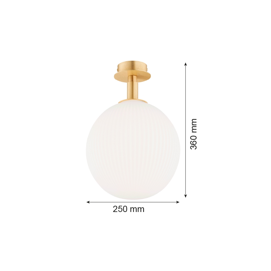 Argon 8505 - Loftlampe PALOMA 1xE27/15W/230V guldfarvet/hvid