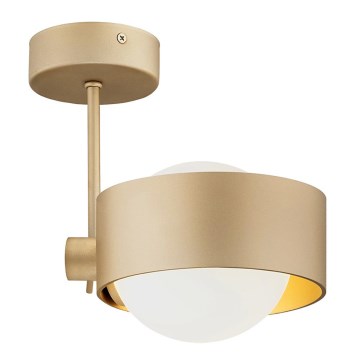 Argon 8568 - Pendel til badeværelse MASSIMO PLUS 1xG9/6W/230V IP44 guldfarvet