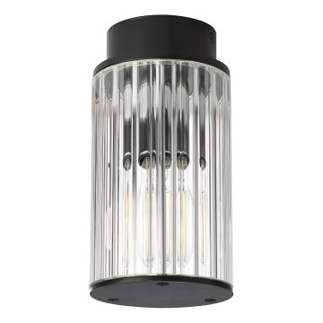 Argon 8773 - Udendørs loftlampe NORFOLK 1xE27/15W/230V IP44 sort