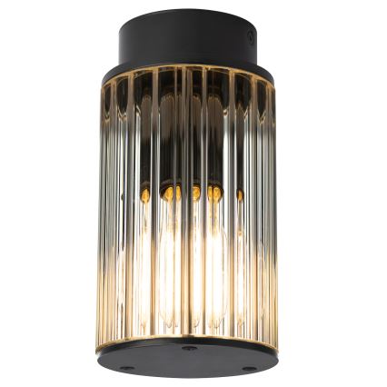 Argon 8773 - Udendørs loftlampe NORFOLK 1xE27/15W/230V IP44 sort