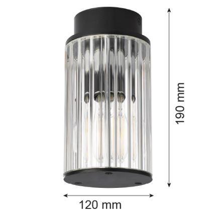 Argon 8773 - Udendørs loftlampe NORFOLK 1xE27/15W/230V IP44 sort