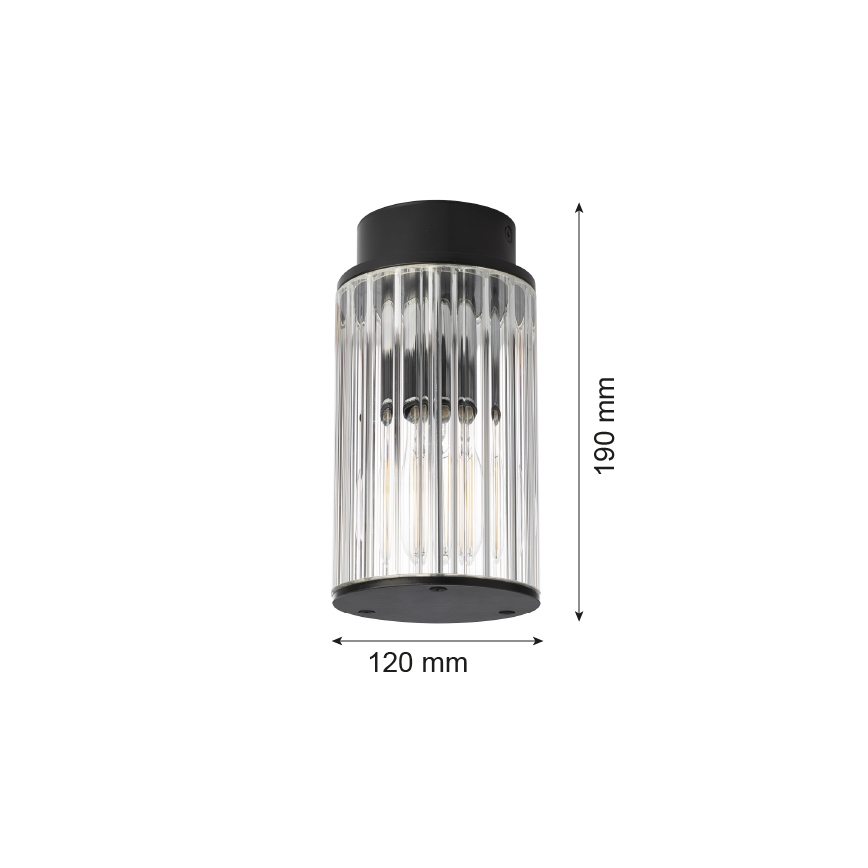 Argon 8773 - Udendørs loftlampe NORFOLK 1xE27/15W/230V IP44 sort