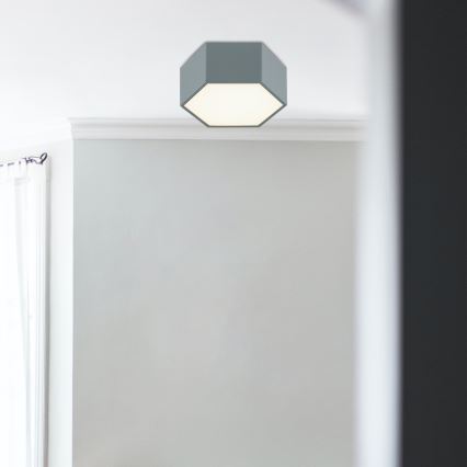 Argon 8784 - LED loftlampe LIBERO LED/12W/230V 3000K grå