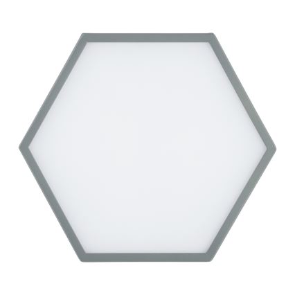 Argon 8784 - LED loftlampe LIBERO LED/12W/230V 3000K grå
