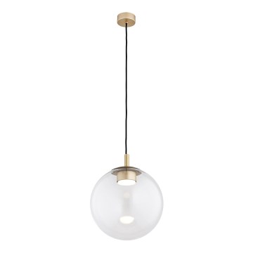 Argon 8828 - Pendel SACRAMENTO 1xGX53/8W/230V transparent/guldfarvet