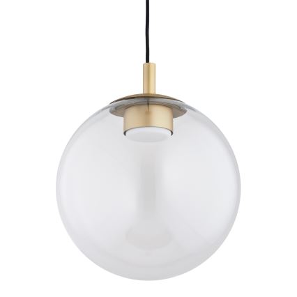 Argon 8828 - Pendel SACRAMENTO 1xGX53/8W/230V transparent/guldfarvet